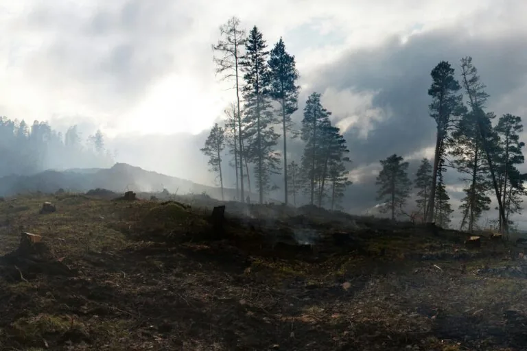 Southern California wildfire damage with smoke in the Angeles National Forest